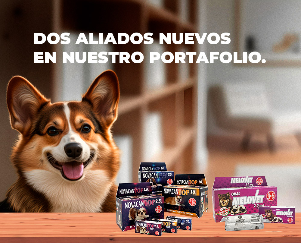 Vicar México